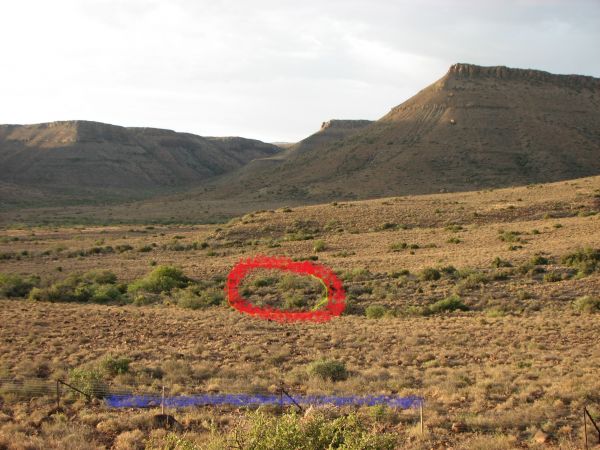 Karoo
