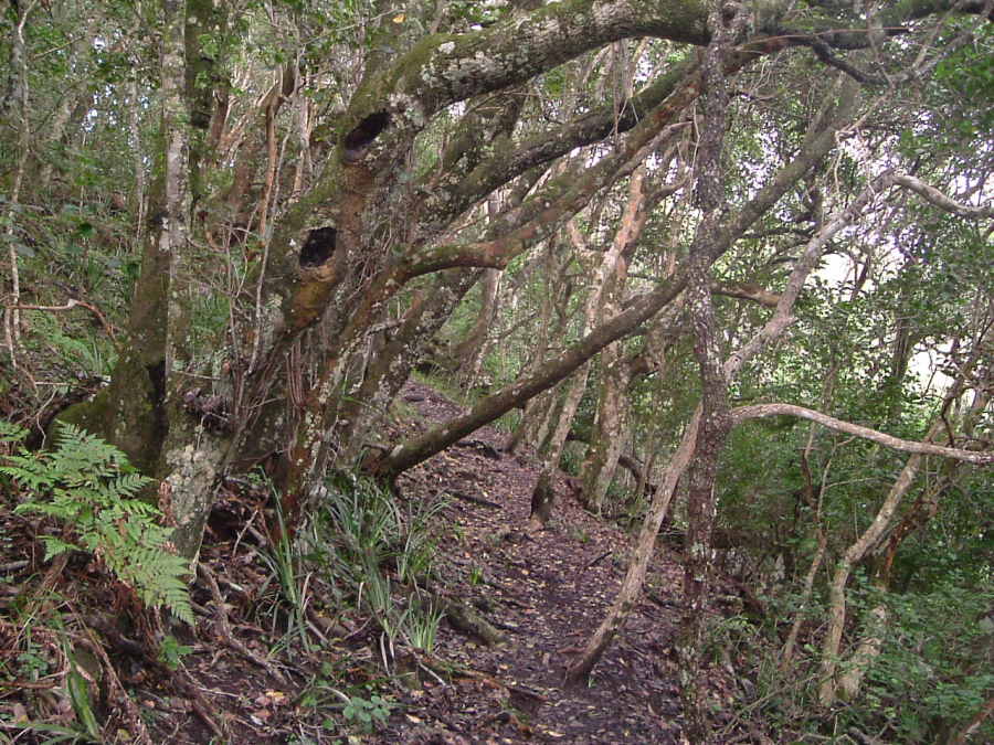Stormsrivier