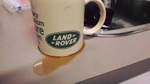 funny landy