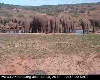 Addo