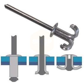 rivet