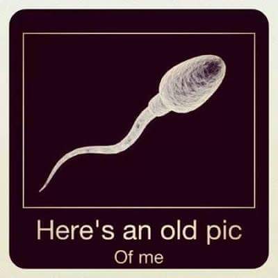 sperm foto