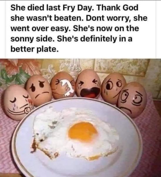 egg
