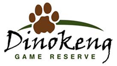 Dinokeng