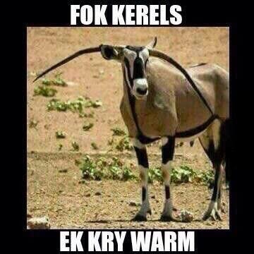 Warm