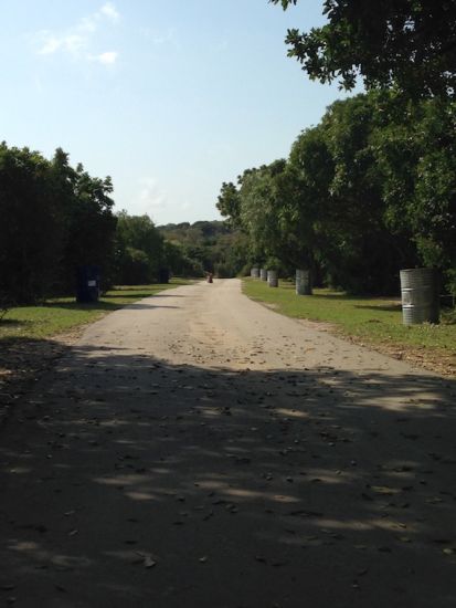 pearson park