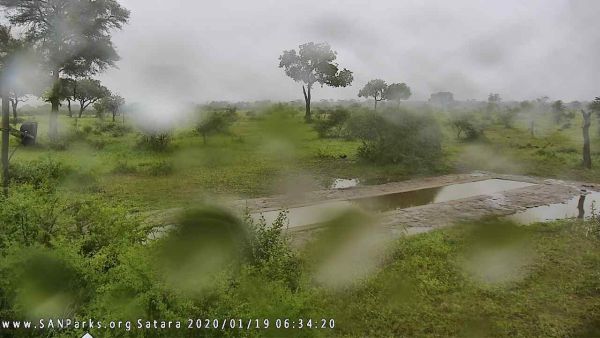 Satara 