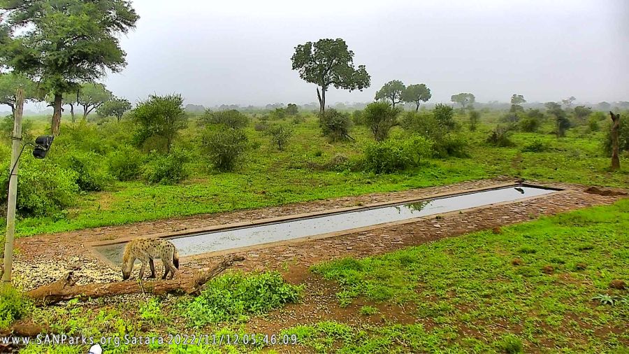 Satara