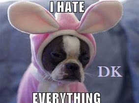 dk