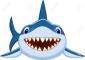 Profile picture for user SHARK