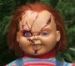 Profile picture for user Chucky Norris