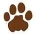 Profile picture for user Dinokeng