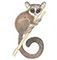 Galago Private bush lodge